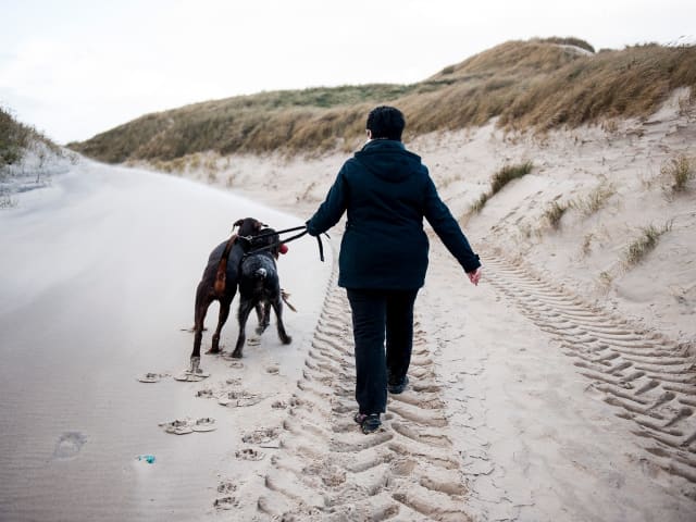 Hundeurlaub im Herbst