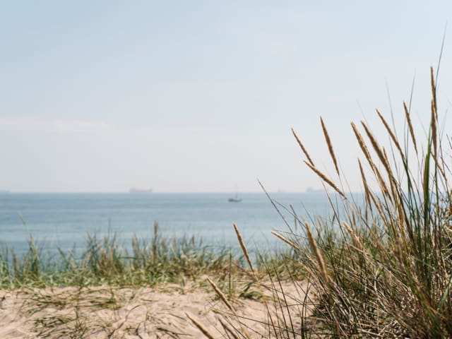 Skagen Sydstrand Havet Klitter