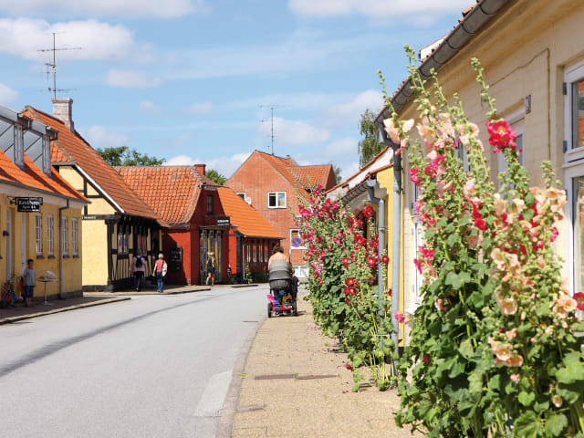 Den Gamle Bydel