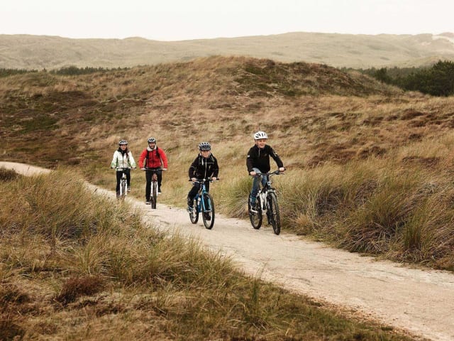 Familie Paa Cykelsti I Klitter