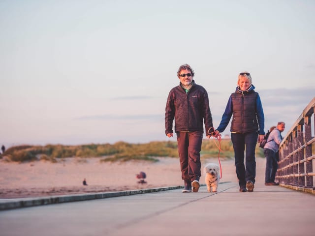Par Går Tur Med Hund På Badebro