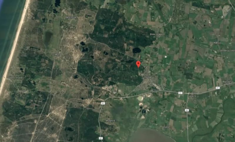 hundeskov-oksbøl.webp