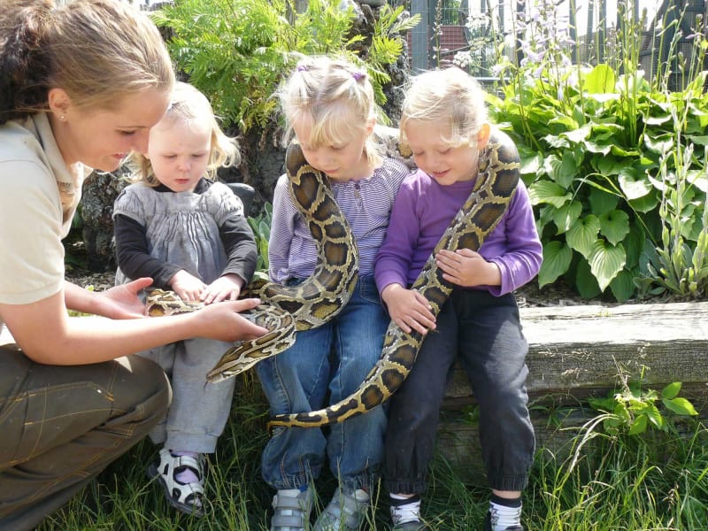 Blaavand zoo