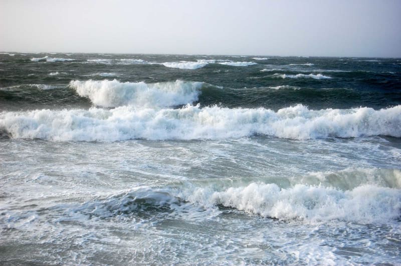 Storm Nyhed