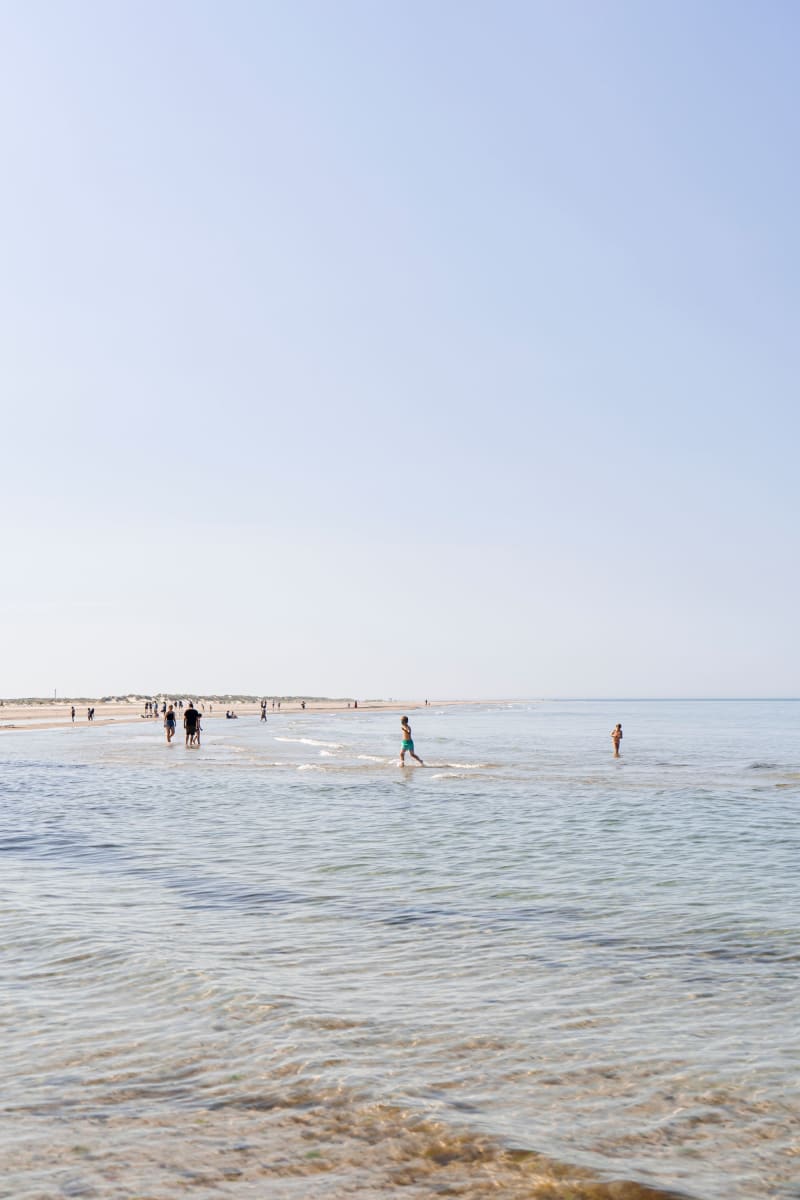 Skagen Sydstrand Havet Mennesker