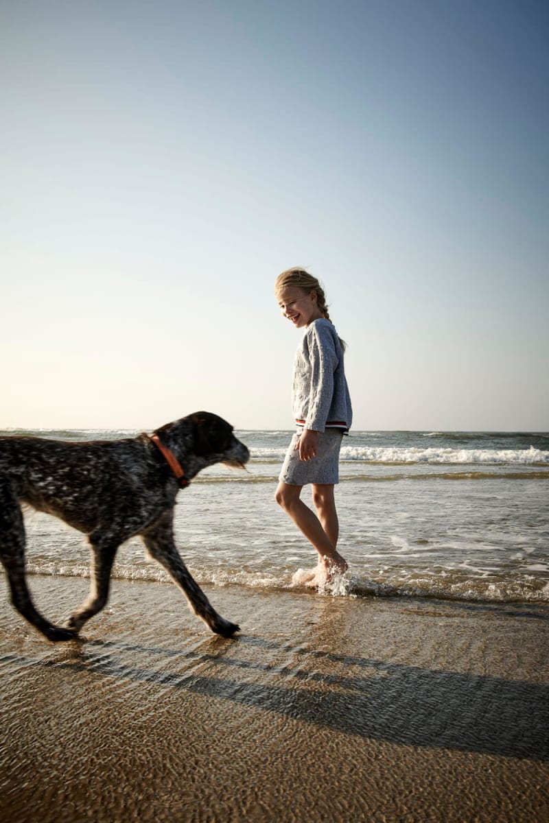 Pige Og Stor Hund På Strand