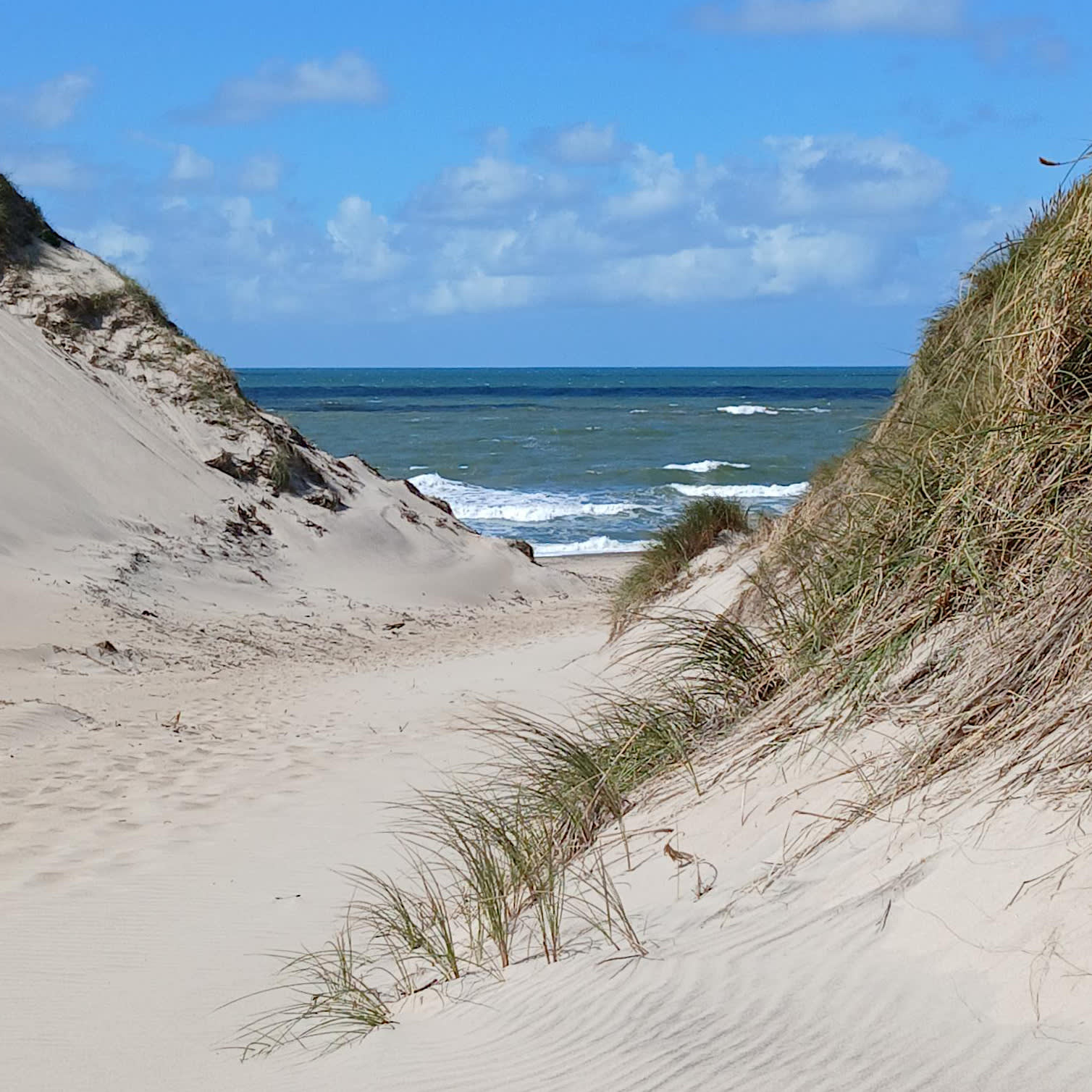 Frihed ved Vesterhavet