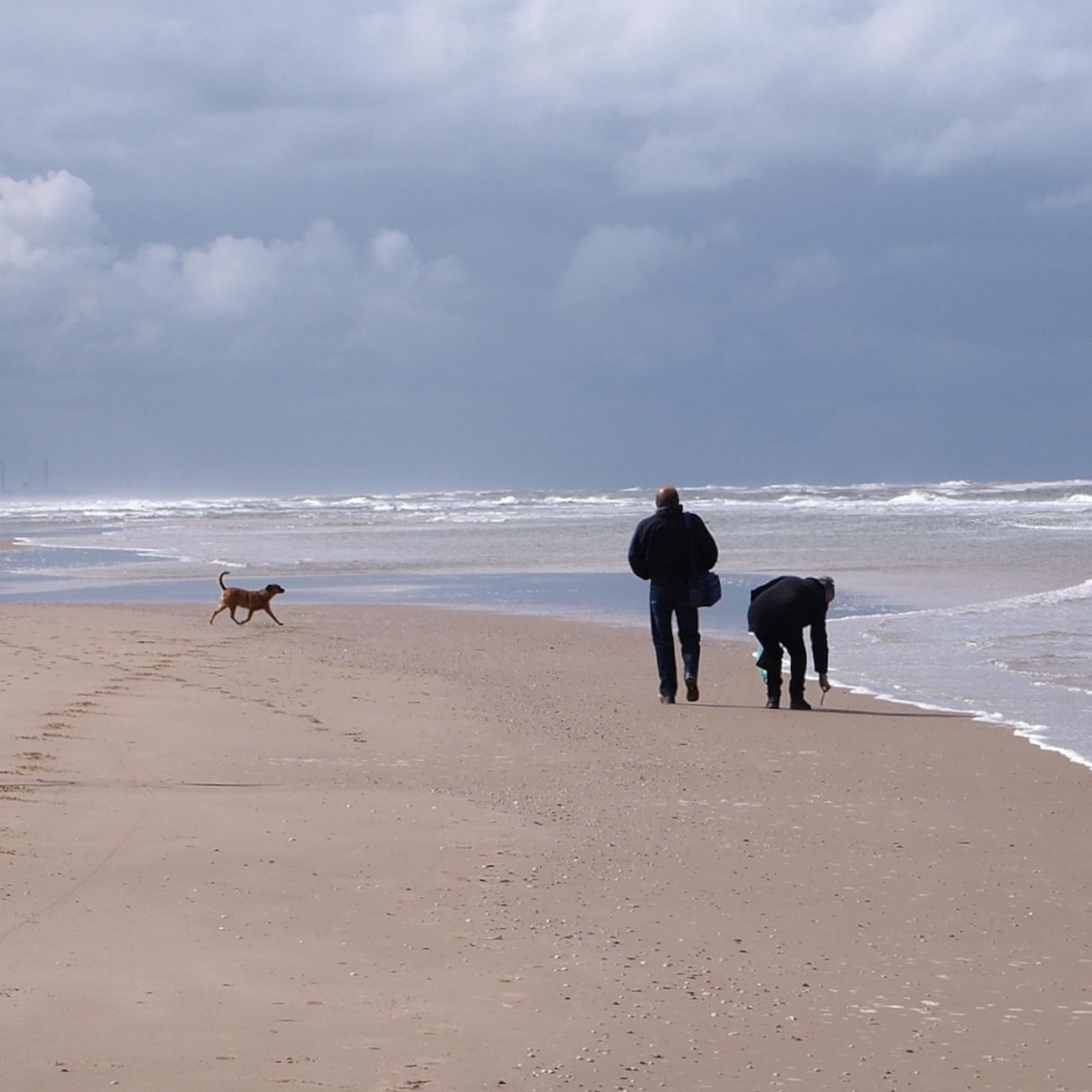 Nytår ved Vesterhavet med hund