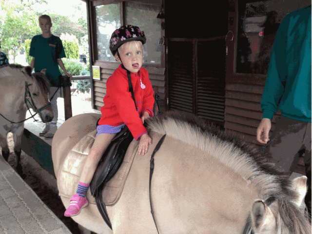 Jyllands Park Zoo