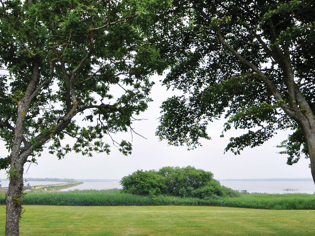 Filsø