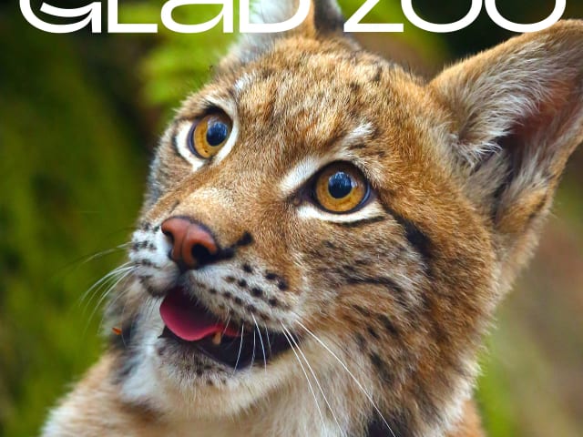 Glad Zoo