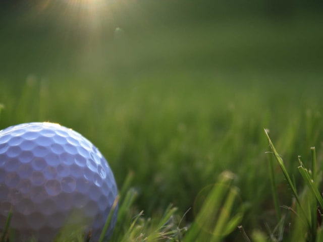 Golfbold