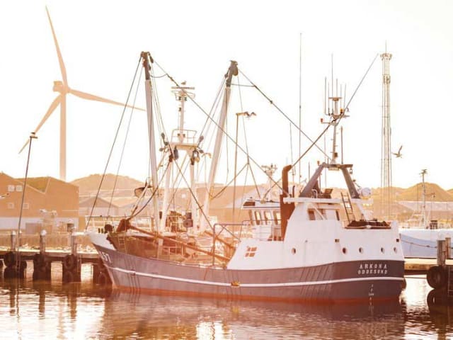 Hvide Sande