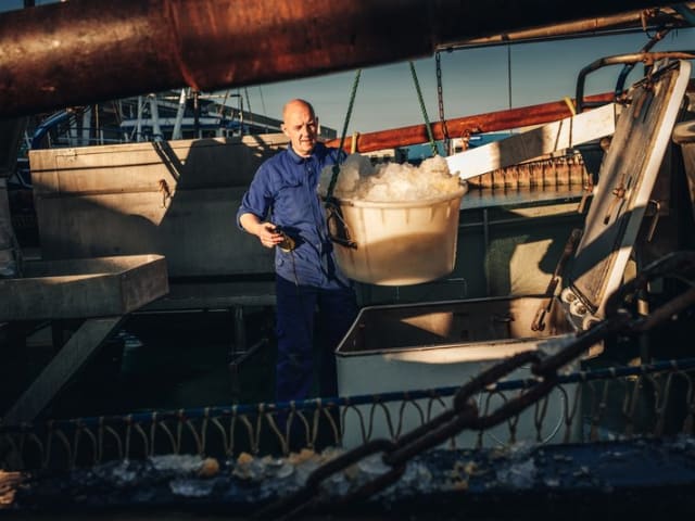 Fiskeri på havet med båd fra hvide sande