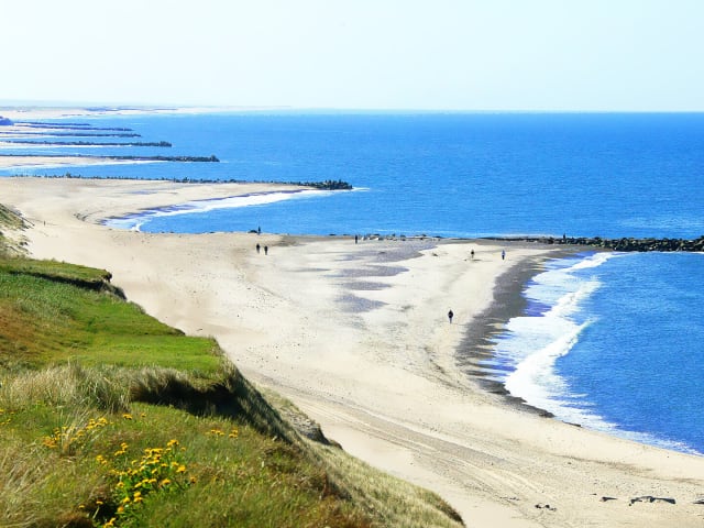 Langerhuse